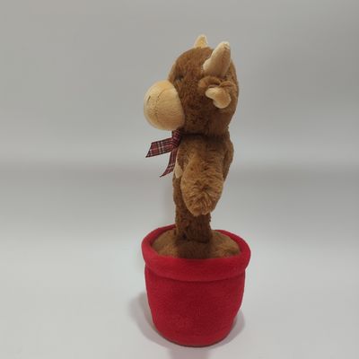 Песня и танец горной коровы