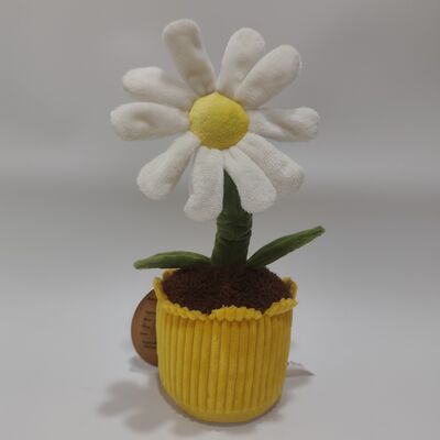 Запись и прокат Daisy Plush Toy